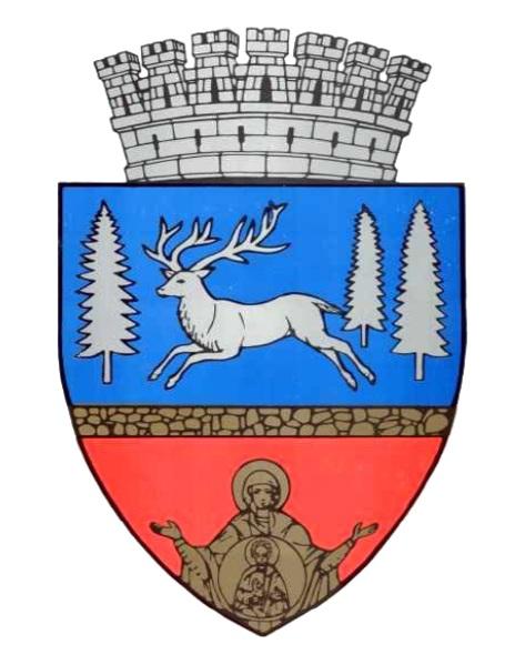 logo bacau